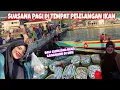 Lagu LIHAT NELAYAN DI PAGI HARI BAWA IKAN HASIL TANGKAPAM SEMALAM, SUASANA PAGI DI TPI 