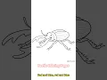 16 Free Printable Beetle Coloring Pages for Kids Teachers