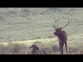 New Mexico GMU Unit 16C Hunting Information