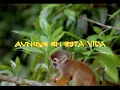 Adventistas Video Canto "Mas alla del Sol" (Letra)