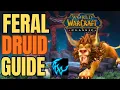 WoW Classic Feral Druid Guide 2025 - Best Talents Rotation DPS Tips