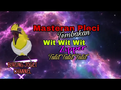 Download MP3 Masteran Pleci Malam Hari Tembakan Wit Wit Wit Zipper Tulit Tulit Tulit