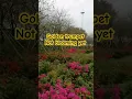 Download Lagu santri pekok niken salindri#shorts waiting for golden trumpet to blooming #short