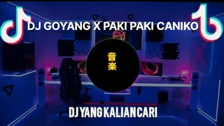 dj goyang x paki paki caniko akimilaku masih ganteng dj yang kalian cari 