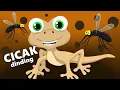 Download Lagu cicak-cicak dinding - Lagu anak balita populer