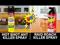 Hot Shot vs Raid Ant Roach Killer Spray Which One is Most Effective