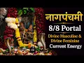 Nag Panchami Portal Divine Masculine Divine Feminine Current Energy