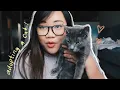 Cat Adoption Story 1 Month Later