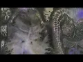 Dinosaur Jr. - Blowin' Up (Lyric Visualizer)