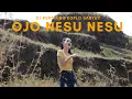 Download Lagu Safira Inema - Dj Ojo Nesu Nesu (Official Music Video ANEKA SAFARI)