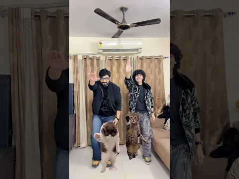 Cat Dance With Pappa😹 #zidaanshahidaly #fatherson #shorts