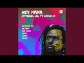 Download Lagu Hey Mama (Caiiro Remix)