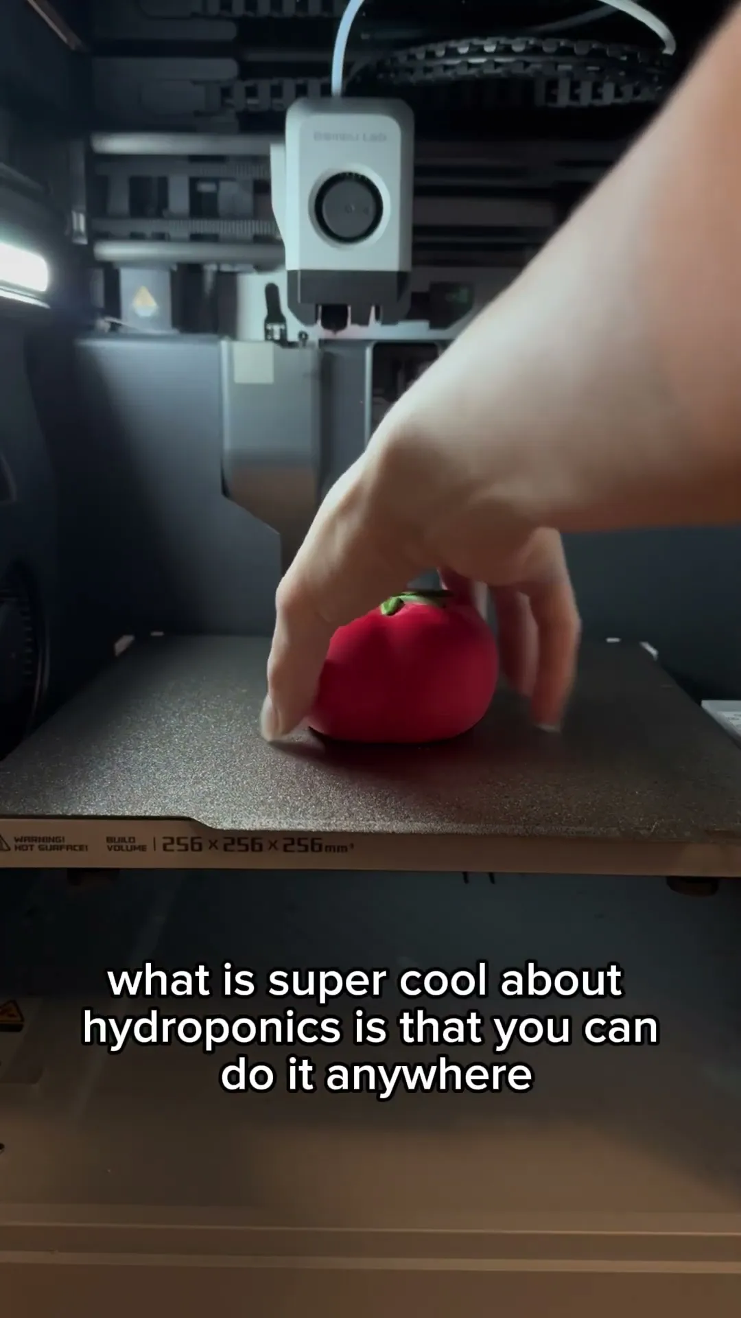 Tomato