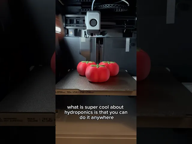 Tomato video thumbnail