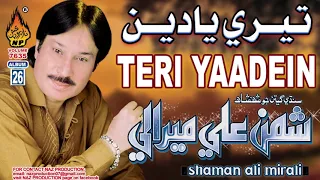 tere yaadein shaman ali mirali hi res audio album 26 naz production