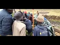 Amahlubi wase Matatiele | Ibhunga | Umgubho | Amakrwala