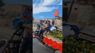 تريبورطور او نشطحوه Horse تريبورطو توك توك 