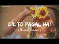 🎧Slowed and Reverb Songs | Dil To Pagal Hai | RAJIB 801