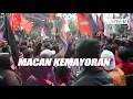 Download Lagu Lagu Ale Persija ... Persija Jakarta Macan Kemayoran