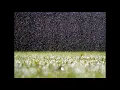 Rival Consoles - Still Here (432hz + slowed)