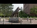 Michigan Tech s Campus