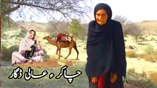 Chakar Sahaq And Aali Dagaar History Of Baluchistan Abdul Hakim Mulla Zahi Lashari 