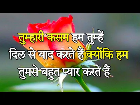 Download MP3 Pyar Mohabbat good morning shayari 🌹 Good morning love shayari 🌹 love shayari hindi