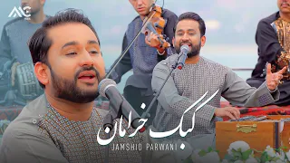 Jamshid Parwani Kabke Kheraman 4K جمشید پروانی کبک خرامان 