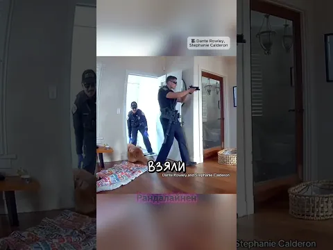 Когда твой охранник — золотистый ретривер 😂