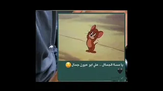 يا مسا الجمال على ابو عيون جمال حالات واتس اب 