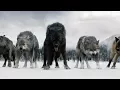 Download Lagu Twilight Wolves - Superhero