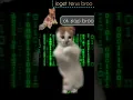 Download Lagu sanang sanang kan badan kucing joget viral #shortvideo #fyp #trend