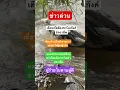 Download Lagu #remix #dj #edm #music #sound #automobile #bamboo1 #imagecapture #food #bts