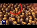 Download Lagu mensagems subliminares minions.wmv