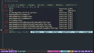 Vimscript Tutorial List sort with custom function