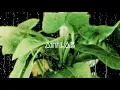 Download Lagu ATTLAS - Out Here Together Mix