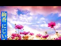 【1時間耐久】にじいろ/絢香【癒しのオルゴール】