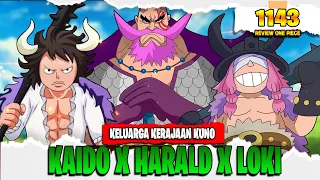 review op 1143 loki u0026 hajrudin united the giant race kaido haralds son zoro vs gunko 