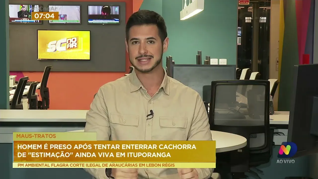 Morador de Ituporanga é preso por tentar enterrar cachorra viva