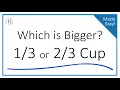 Which is Larger Cup or Cup