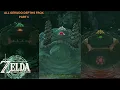 Zelda Tears of The Kingdom - Gerudo Depths All Frox Locations Part 1