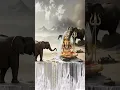 Lagu 🙏har har mahadev ✨🙏 #mahadev #motivation #tripura #mahakal #shots #youtubeshorts