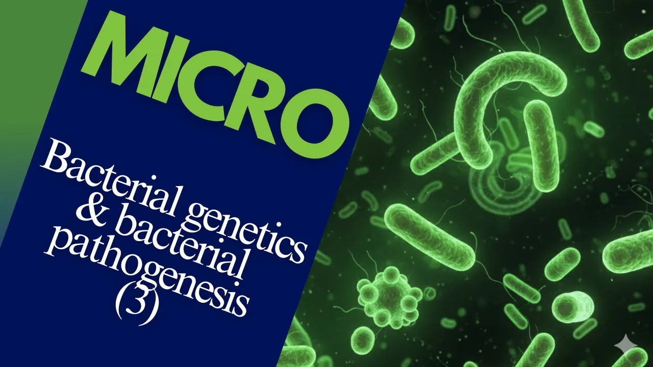 Microbiology 309 | Lecture 3 | Bacterial genetics & pathogenesis