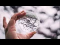 SRTW - Butterflies (feat. Charity Children)..