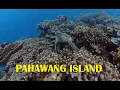 Pahawang Island Freediving and Island Hopping