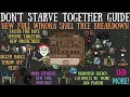 NEW FULL Winona Skill Tree Breakdown - Staying Afloat Update