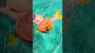 Wait for it… Every fish’s nightmare! 😮