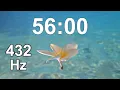 56 Minute Timer - Countdown