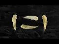 SLUMBERJACK - Cradle to Grave (Interlude) [Official Full Stream]