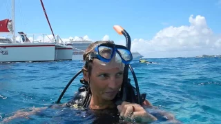 Cayman Island Diving – UNTIE THE LINES II #56